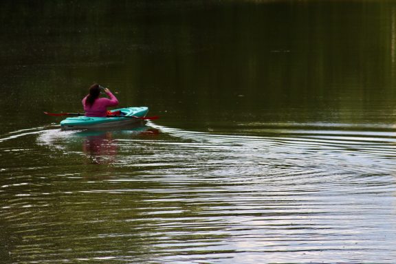 A person in a pink shirt paddles a teal kayak on calm water.